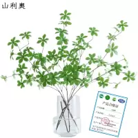 山利奥 餐桌摆件 SLA-342/瓶