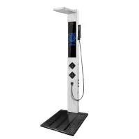 帅领集成集成热水器花洒一体机G15PLUS(岩石白)淋浴屏