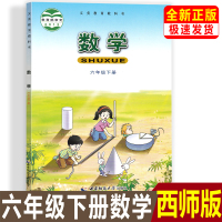 西师版小学6年级下册数学书西师大版课本教材六年级数学下册西师大版 6下 西南大学出版社六年级下册数学书西师大版西师版小学