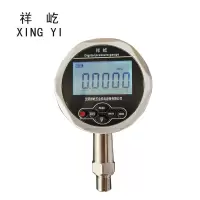 祥屹+精密数字压力计 精密数字压力表检测定制型+YS100 0.05级 +台