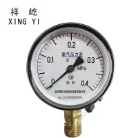 祥屹+氧气压力表检测定制型+YO100+块
