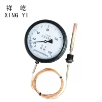 祥屹 压力式温度计定制检测款 WTZ280 120度 个