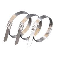 祥屹 不锈钢扎带(201) 12*根