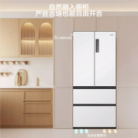海尔(Haier)500升法式多门冰箱 零距离自由超薄嵌入 EPP超净系统 BCD-500WGHFD4DW9U1