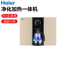 海尔(Haier)净水器家用直饮净水加热一体饮水机RO反渗透自来水过滤台式壁挂带水壶YR1975-RO