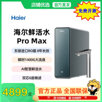 海尔中央净水器家用直饮厨卫反渗透净饮智慧鲜活水PROMAX HKC3000-R889D2U1