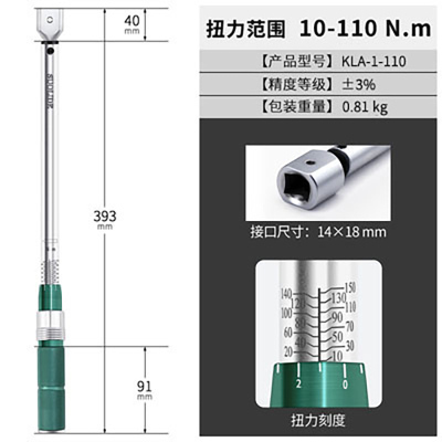 索力德预置式扭力扳手10-110N.m(可换头)