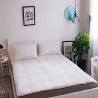 京铁威单人床褥子适合1米床用 重量4斤100*200/个