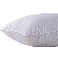 成人羽丝棉全棉磨毛枕芯