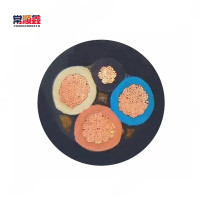 常顺鑫 橡套电缆YC 450/750V 3×50+1×16 米