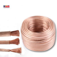 常顺鑫 塑铜线450/750V TJR-10 100米/卷