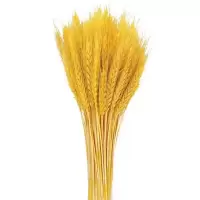 锦瑞星装饰仿真花摆件麦穗干花F3-A个