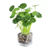 锦瑞星装饰仿真花摆件F7-A件