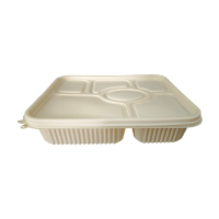 金胜星 一次性降解六格餐盒 1300ml 200套/箱