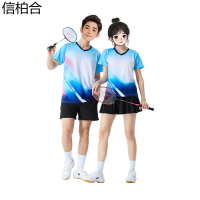 信柏合羽毛球XH007
