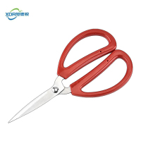 旭德锐 剪刀 xdr-J3 /把