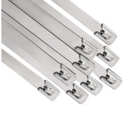 旭德锐 不锈钢扎带 10*500mm /根