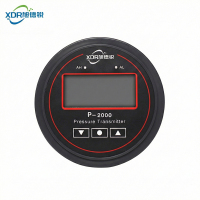 旭德锐 数显压差表 P-2000/个