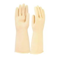 欧立特 乳胶手套 HO2669
