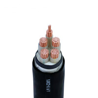 JINTE 低压铜芯电缆ZC-YJV22 4×50+1×25 米