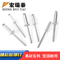 宏瑞泰 抽芯拉铆钉 M5*20 个