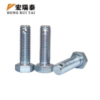 宏瑞泰 锌镍合金带孔螺栓 M20*85 个