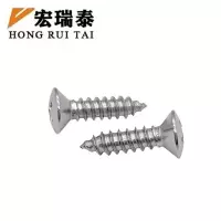 宏瑞泰 不锈钢半沉头自攻螺丝 M4*20 个