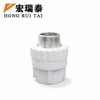 宏瑞泰 PPR外丝直接 DN63 个