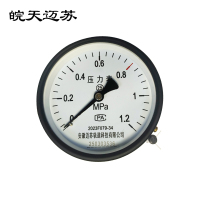 皖天迈苏Y-100Z轴向无边压力表轴向型压力表