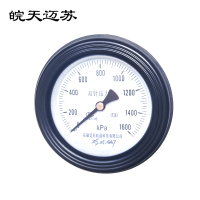 皖天迈苏双针压力表YGS-100Z 0-1600Kpa