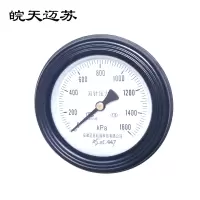 皖天迈苏双针压力表YGS-100Z 0-1600Kpa