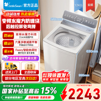 小天鹅(LittleSwan)小乌梅2.0波轮洗衣机全自动 12公斤家用水魔方防缠绕TB12VE20DW