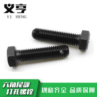 义亨 六角头部带孔螺栓 个