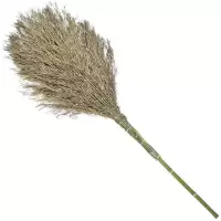 信森洛 竹扫把 5斤 1把
