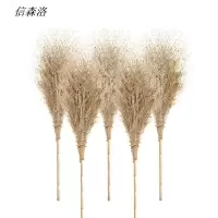 信森洛 户外竹扫把老枝无叶 4斤 1把