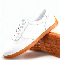 健訫奕天太极运动鞋LB7785