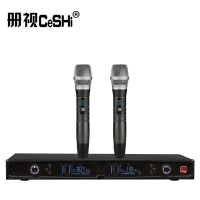 册视监控器材配件UHF无线麦克风一拖二配会议鹅颈式话筒TP-8002套