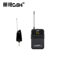 册视万能无线麦克风一拖二F-202套