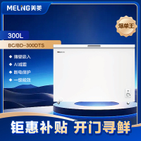 美菱冷柜BC/BD-300DTS
