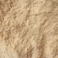 木屑木糠(锯末)20kg袋