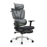 飞唐锦荣 办公椅人体工学椅 Q-125A 把