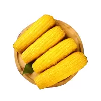 宁百晟黑糯玉米 220g*8根