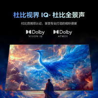 FFALCON雷鸟 100S585C Max-A 25款100英寸巨幕 4K144Hz 4+128GB 一级能效液晶电视