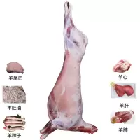 六盘生龙 宁夏滩羊肉 冰鲜羊肉 精选农户散养小羊羔 整只小羊羔(带羊副产品)500g/袋 顺丰空运48小时达