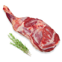 六盘生龙 宁夏滩羊肉 冰鲜羊肉 精选农户散养小羊羔 羊前腿500g/袋 顺丰空运48小时达