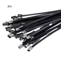 贲华 包塑不锈钢扎带 9x200mm 个