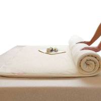 红星永信达 棉花褥子 HX-BG031 张