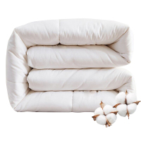 红星永信达 褥子 HX-RZ003 条