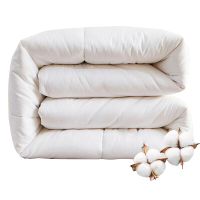 红星永信达 褥子 HX-RZ004 条