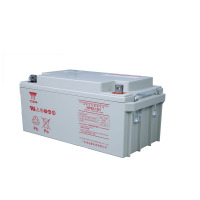汤浅YUASA 铅酸蓄电池12V65Ah NP65-12H 个